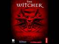 Lets play The Witcher Part 1