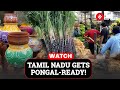Pongal Fever Grips Tamil Nadu Markets As Demand Of Traditional Items Surge | Pongal Celebrations