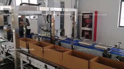 Servo system robot picking up type sorting cartoning machine encasing line cartoner