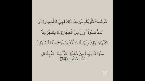 سورة البقرا #explore #اكسبلور #quran_kareem #quran #لايك #sabscribe #راحة_نفسية #fypシ゚viral #fyp