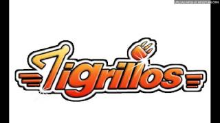 Video thumbnail of "Los Tigrillos - Bata Bata 2013"