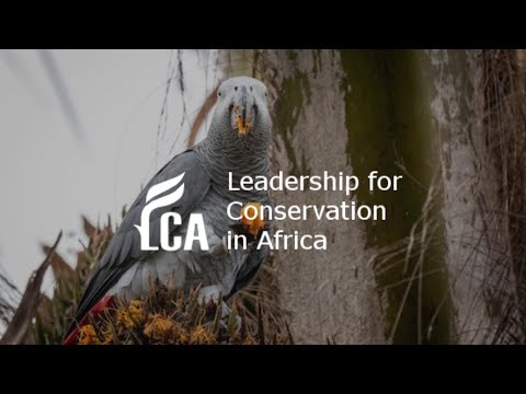 The African live bird trade: understanding threats and finding solutions
