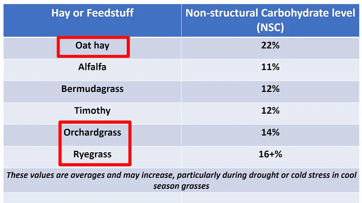 Equine Forage Education Video Series:  Video 7:  Carbohydrates and Forages, Part 2