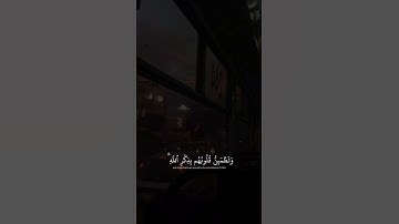 اكتب شي تؤجر عليه ❤ | القارئ عبدالرحمن مسعد | قرآن كريم