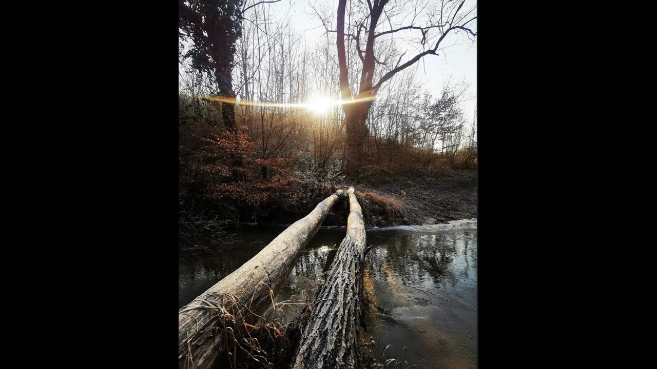 Majevica: Čekina koliba, Busija