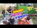 ВЛОГ из сада. Навожу ЧИСТОТУ и КРАСОТУ на участке! ТЕПЛИЦА готова, томаты высажены! Розы подвязаны!