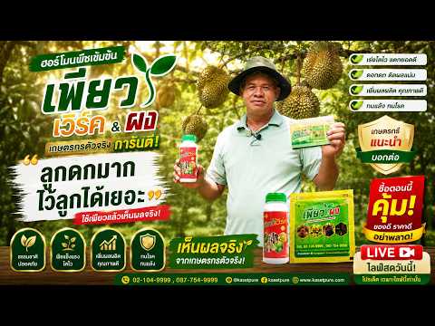 LIVE !!  สด!! สูตรบำรุงทุเรียน รักษาไฟทอป เห็นผลจริง!