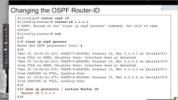 OSPFv2 Configuration: Basic Configuration