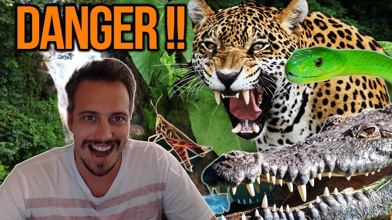 Первый стрим после перерыва! Какое существо напало на Лекса?!