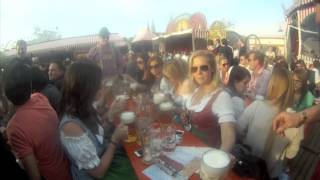 Springfest 2014