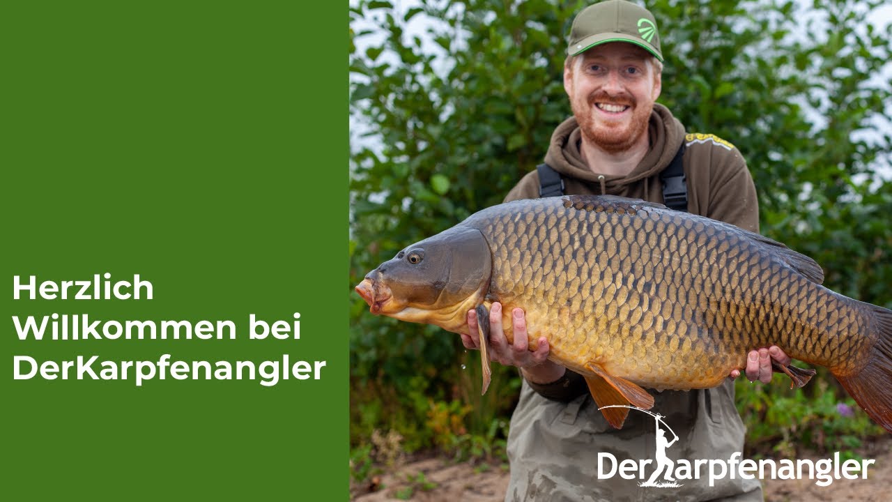 About - DerKarpfenangler : Dein Online-Portal rund ums Karpfenangeln