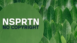 Ambient No Copyright Music Orchestral - Miguel Johnson | Creative Commons Music For Content Creators screenshot 1