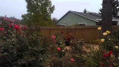 Tree removal Vancouver Washington