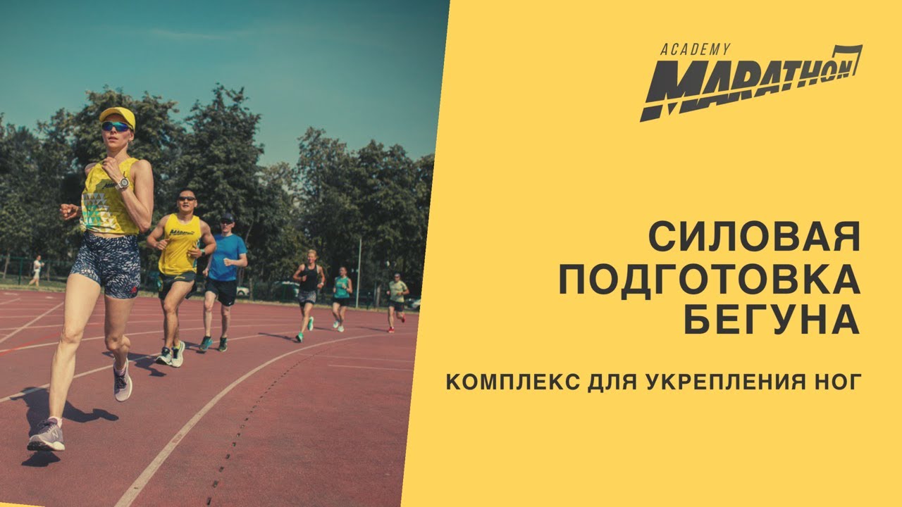 Provironum ������� �����: ����.