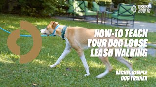 How-To Teach Your Dog Loose Leash Walking | Dog Trainer Rachel Sample