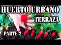 HUERTO URBANO EN LA TERRAZA ☘ SEGUIMIENTO. parte 2 .