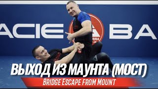 :    () (Bridge escape from mount)