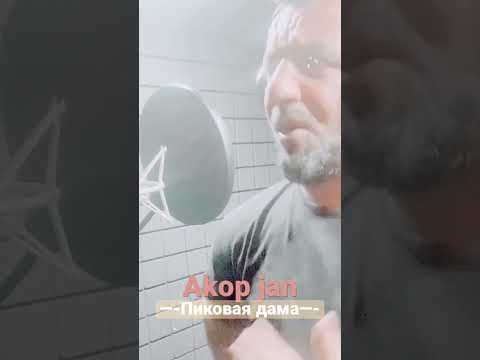 Akop Jan Пиковая дама #cover