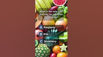 Can you guess the answer?| #shorts #quiztime #quizchallenge #triviaquiz