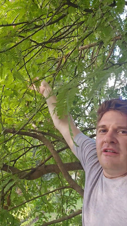 Sampalok pang sigang. #buhayprobinsya