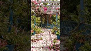Garden Restoration: Reviving Green Spaces for Beauty and Sustainability#shorts