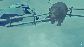 The Long Dark bear a bug