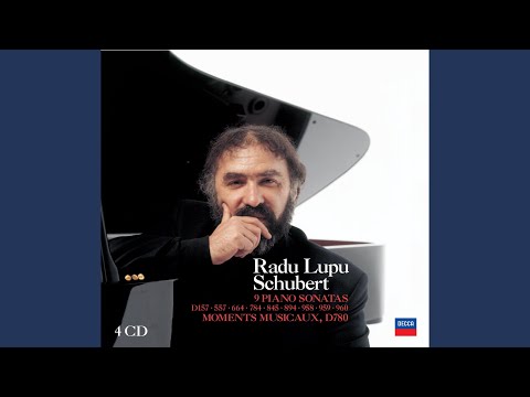 Schubert: Piano Sonata No.16 In A Minor, D.845 - 2. Andante, Poco Mosso