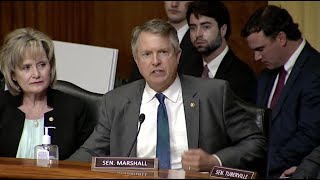 Senator Marshall Speaks at Ag Hearing About his Concerns with Consolidation of the Cattle Industry