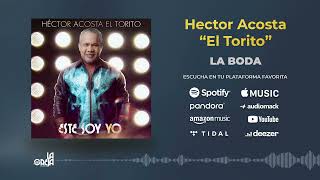 Video voorbeeld van "LA BODA - Hector Acosta El Torito (audio oficial)"