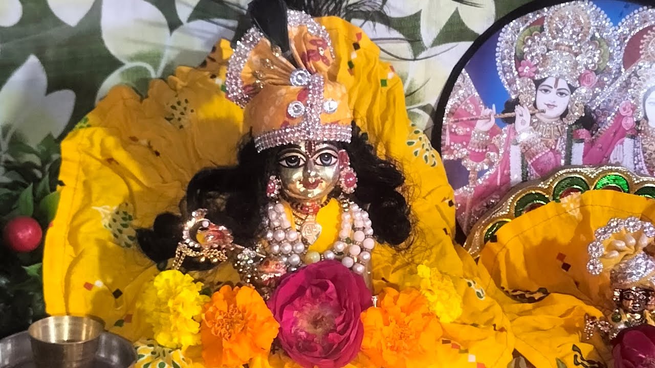 शुभ रात्रि लाल 🧖#bhakti# video 🌹🙏 राधे राधे 🙏🙏