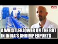 A whistleblower on the rot in indias shrimp exports