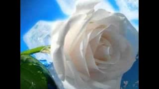 MP3 GIA TU ( MH & NC )