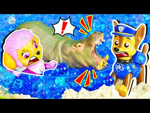 PAW Patrol 🐾