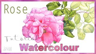 How to Paint a Rose in Watercolour // Realistic Watercolour Rose Tutorial
