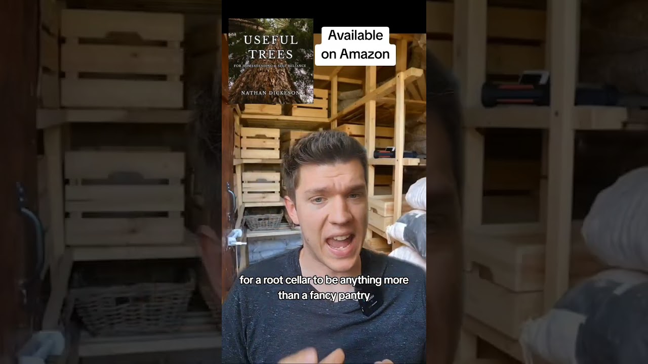 Подвалы — отстой! Холодильник всё равно нужен 