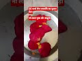 20 मार्च चैत्र नवरात्रि के दूसरे दिन 9 लाल पुष्प की पंखुड़ी ! जो मांगोगे तुरंत पूरा होगा ! नवरात्रि