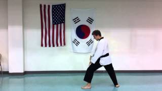 Basic Tae Kwon Do (Chung Do Kwan) Kicks