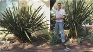 Landscaping 101 : How to Grade a Yard for Drainage