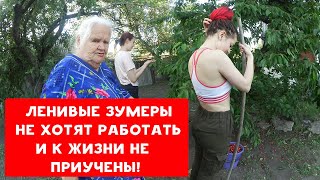 ЗУМЕРЫ НЕ ХОТЯТ РАБОТАТЬ И К ЖИЗНИ НЕ ПРИУЧЕНЫ | ХИККАН №1