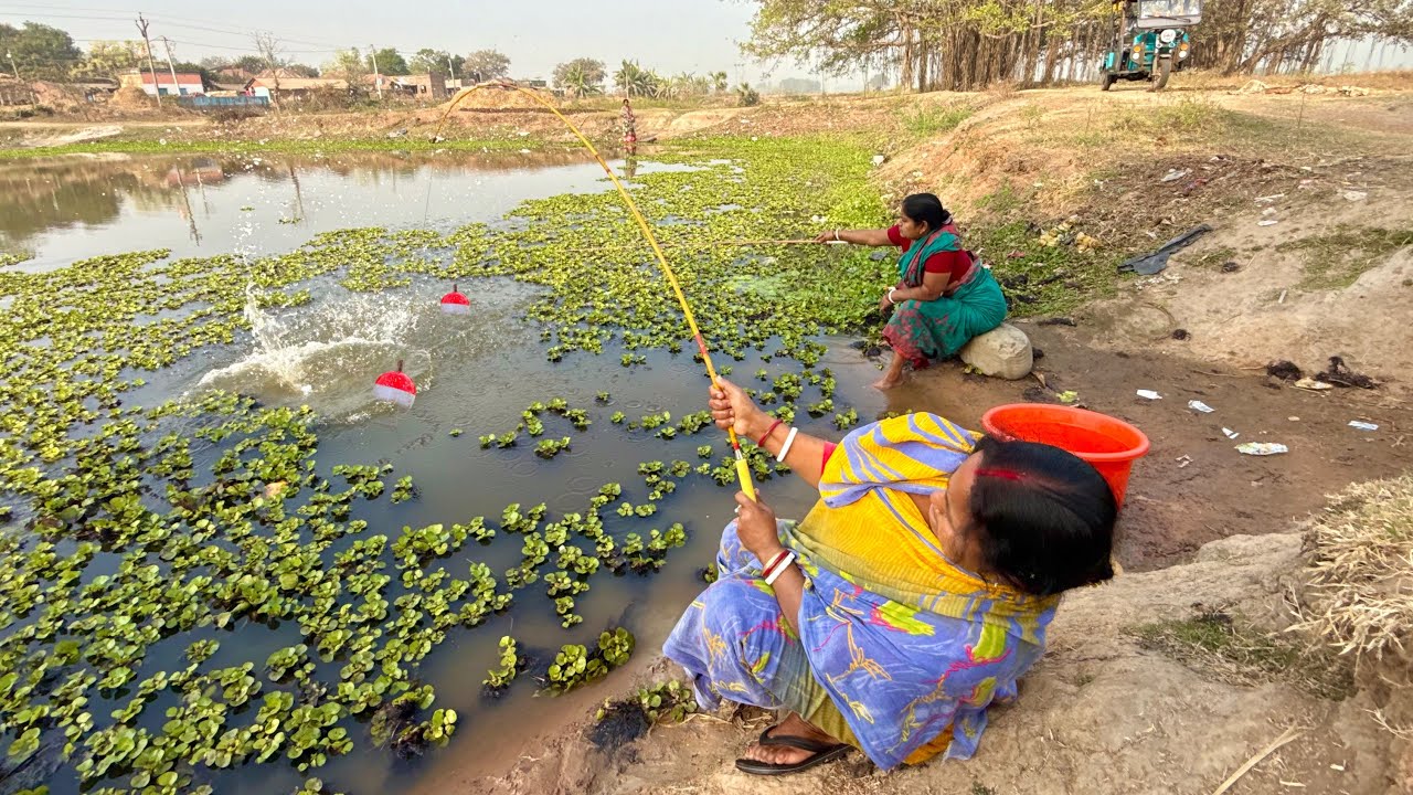 Fishing Video || Village ladies are very skilled and experienced in fishing || Fish catching trap