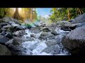 🍀 Celtic Fantasy River Music 🌊 Magical Relaxing Ambience for Sleep, Study and Peace #relax #peace