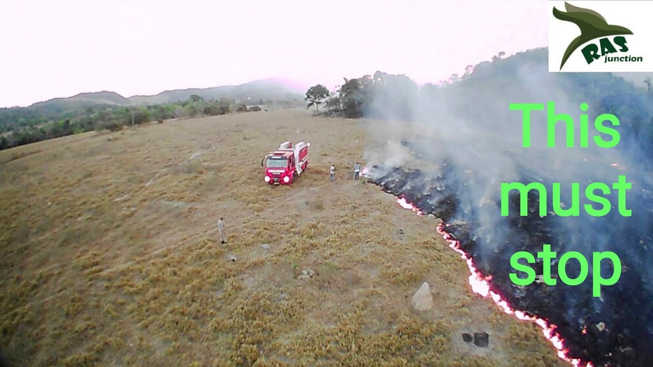 Amazon forest on fire 🔥 Call to action YouTube