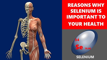 Reasons Why Selenium Is Important To Your Health (Nutrition)