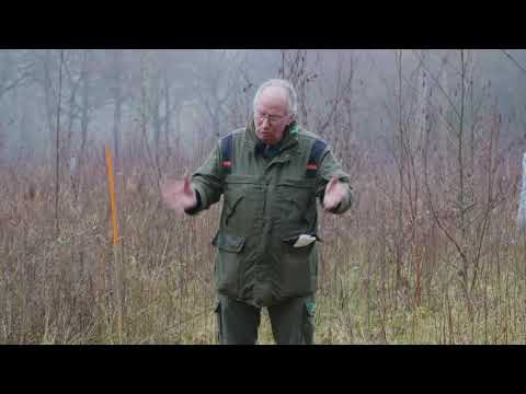 Kennisfilm; Machinaal planten van bosplantsoen