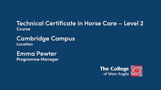 CWA: Technical Certificate in Horse Care Level 2