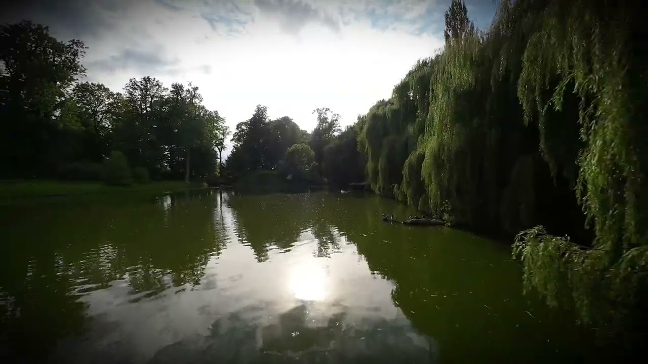 YouTube player