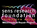 Sens research foundation  mitosens mitochondrial repair project  lifespanio crowdfunding campaign