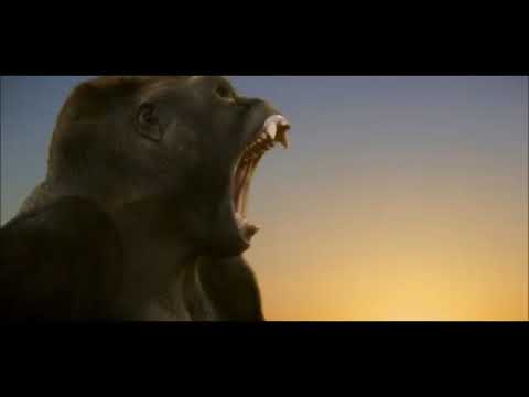 angry gorilla roar