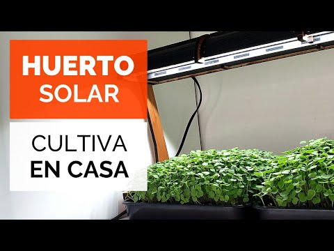 Video: ¿Qué son los microvegetales y cómo cultivarlos?