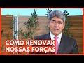 COMO RENOVAR NOSSAS FORÇAS -  Hernandes Dias Lopes